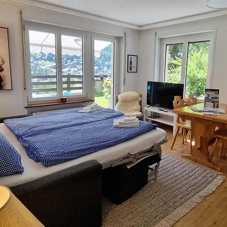 아파트 Haus Bodmen C, Gruensee