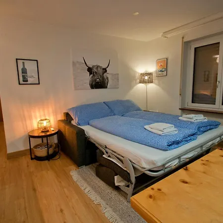 Haus Bodmen C, Grünsee Apartment *