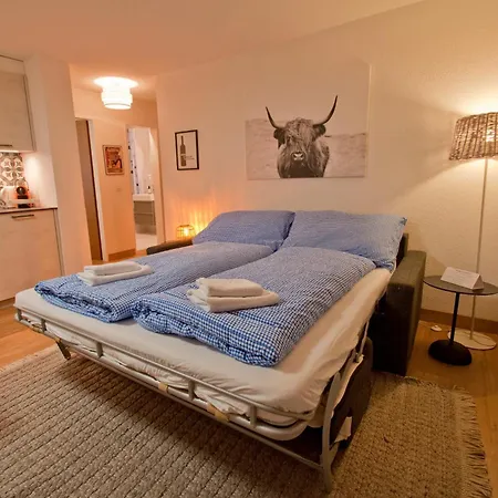Haus Bodmen C, Grünsee Apartment